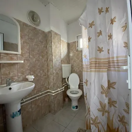 Guest house Vila Cristina Costinesti