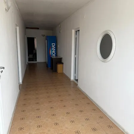 招待所 Cristina 科斯蒂内什蒂